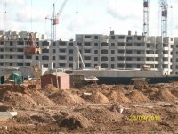 ALIM1374.JPG