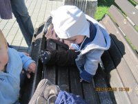 IMG_2972.jpg