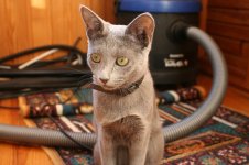 IMG_0098semeistvo.jpg