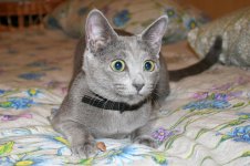 IMG_1000semeistvo.jpg