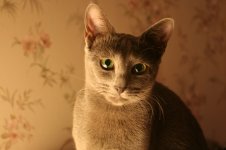 IMG_1135semeistvo.jpg