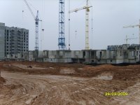 S8300300.JPG