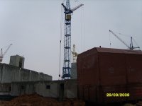 S8300309.JPG