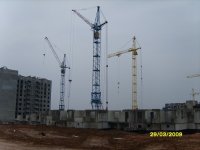 S8300323.JPG