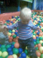 2008-11-03 0521jpg.jpg