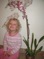 орхи нов_2.JPG