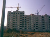 6b.jpg