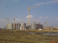 DSC00800333.jpg