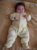 IMG_0575-1.jpg