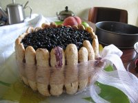 IMG_2830.JPG