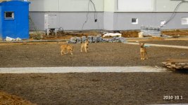DSC03264.jpg