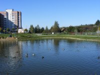 DSCF0814.jpg