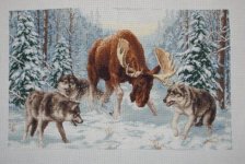 ДЖ-013 Встреча в лесу.jpg