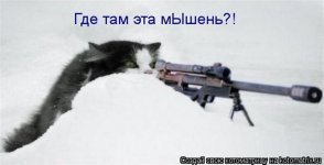 80f7f1528e56.jpg