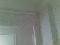 06102010(010).jpg