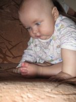 IMG_0979.jpg
