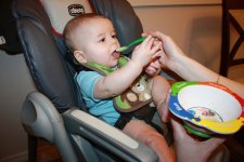 IMG_0876a.jpg