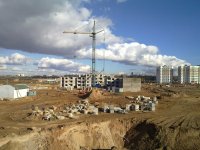 20101016_008.jpg