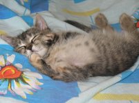 IMG_6483_изменить размер.jpg