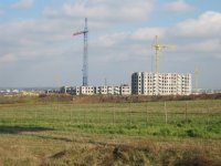 IMG_1194.JPG IMG_1194.JPG