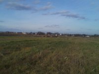 2010-10-25 15.07.17.jpg