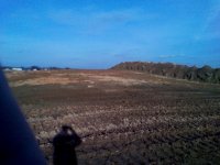 2010-10-25 15.30.15.jpg