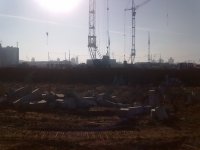 31102010015_новый размер.jpg