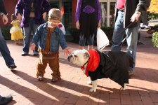 IMG_1331a.jpg