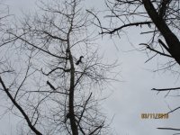 IMG_0258_новый размер.JPG