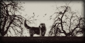 DSC_8325 re.jpg