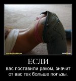 1285050615_032.jpg