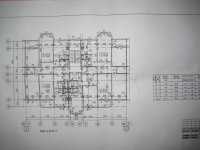 наши норки).JPG