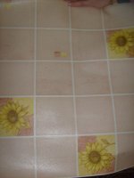 S6301019.JPG