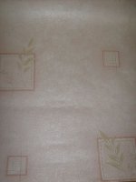 S6301020.JPG