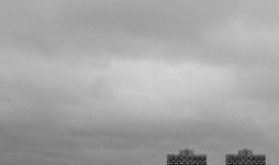 DSC_8697-850.jpg
