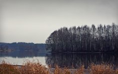 DSC_0065-1000.jpg