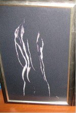 84739d844f44.jpg