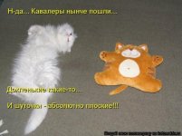 1290437897_743965.jpg
