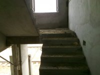 27112010176.jpg