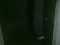 27112010179.jpg