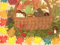 IMG_1782.JPG