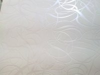 26062010019.jpg