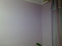 02122010115.jpg