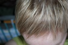 IMG_5794_resize.JPG