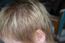 IMG_5796_resize.JPG