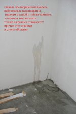 DSC07433a.jpg