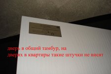 DSC07438a.jpg