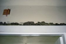DSC07441a.jpg