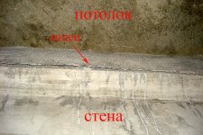 DSC07437a.jpg