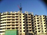 IMG0057A.jpg